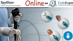 7.12.17 состоится Онлайн Масстер-класс по SpyGlass от Boston Scientific на EndoExpert.ru и в группе Endoscopy в FB